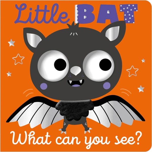 Little Bat What Can You See? Book