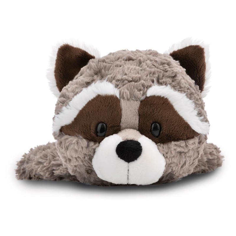 Dreamy Winter Lenno Raccoon