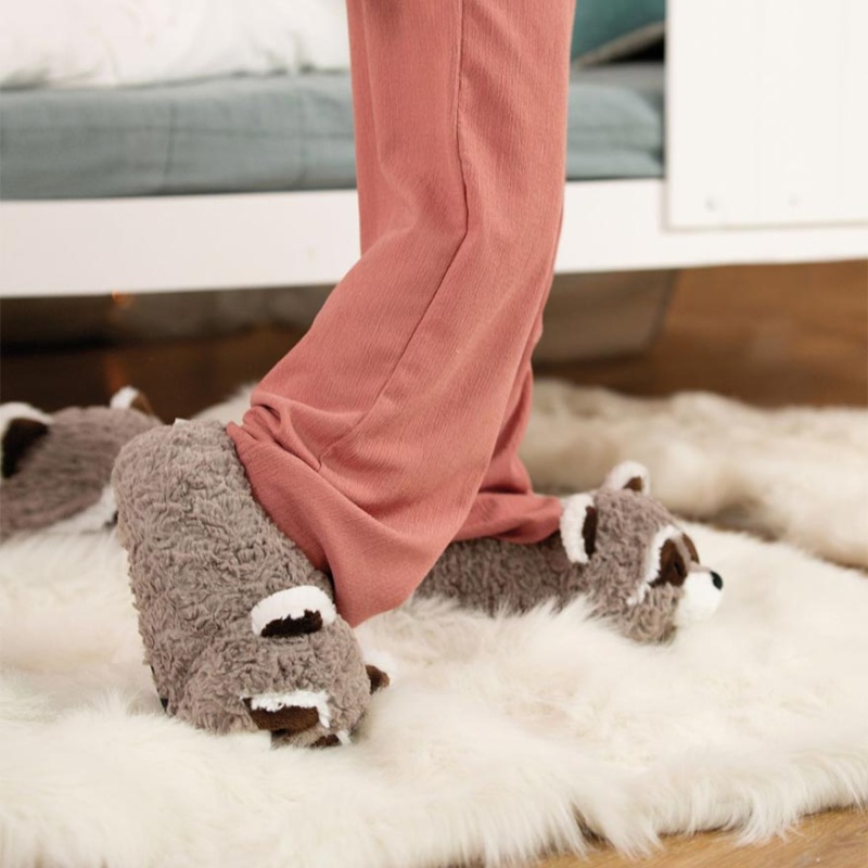 Dreamy Winter Lenno Raccoon Slippers