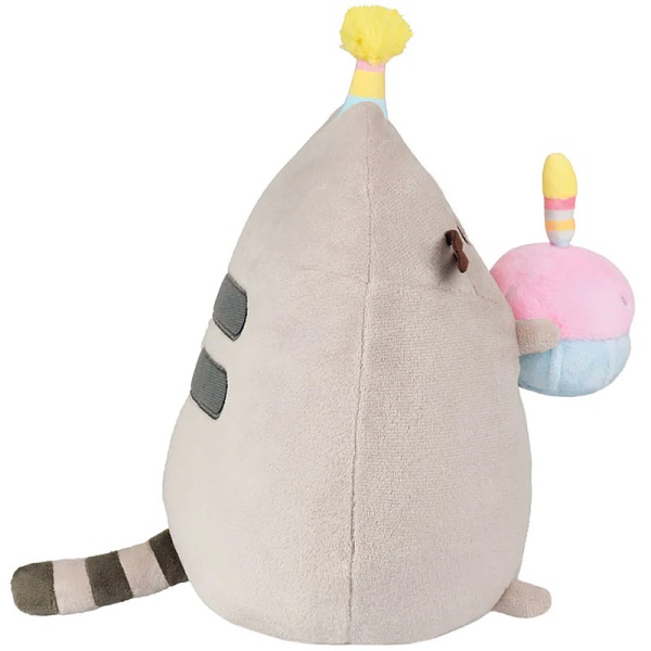 Pusheen Birthday Party