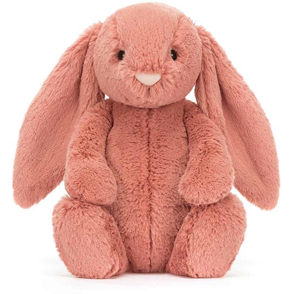 Bashful Sorrel Bunny