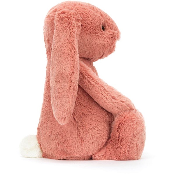 Bashful Sorrel Bunny