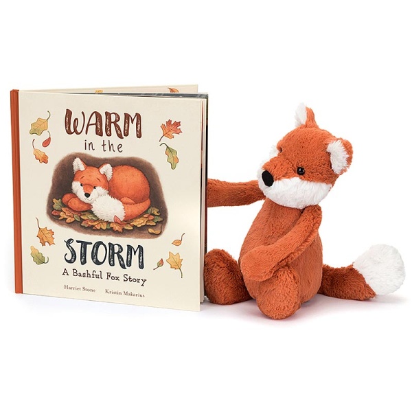 Warm in the Storm Book