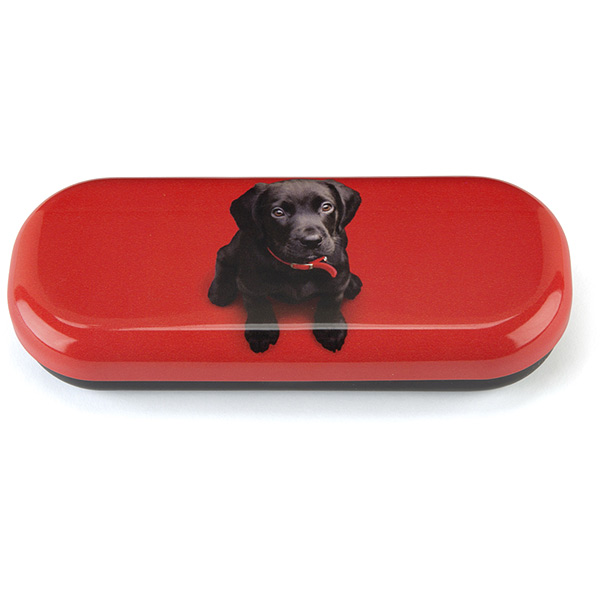 Black Lab on Red Glasses Case