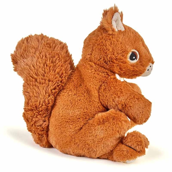 Cozy Red Squirrel