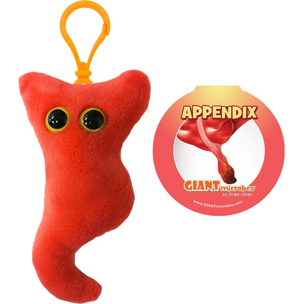 Appendix Keyring