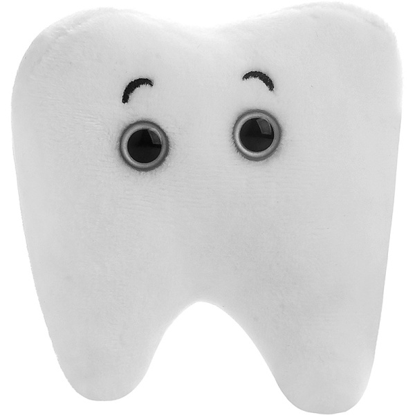 Tooth (Molar)