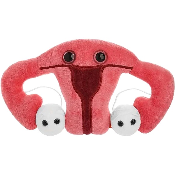 Uterus