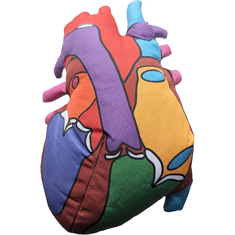 Heart Model