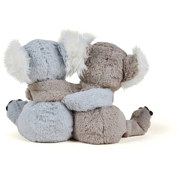 Cozy Warm Hugs Koalas