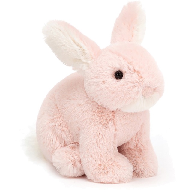 Minilop Rose Bunny