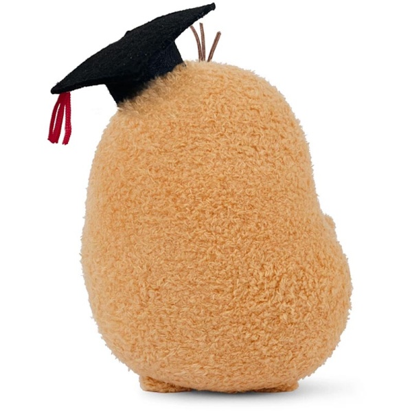 Ricespud Graduation Potato