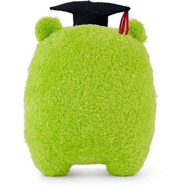 Riceribbit Graduation Green Frog