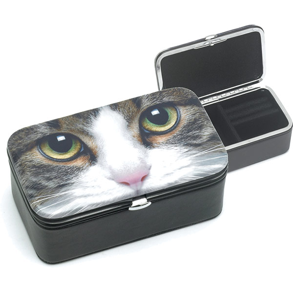 Tabby Cat Jewellery Case