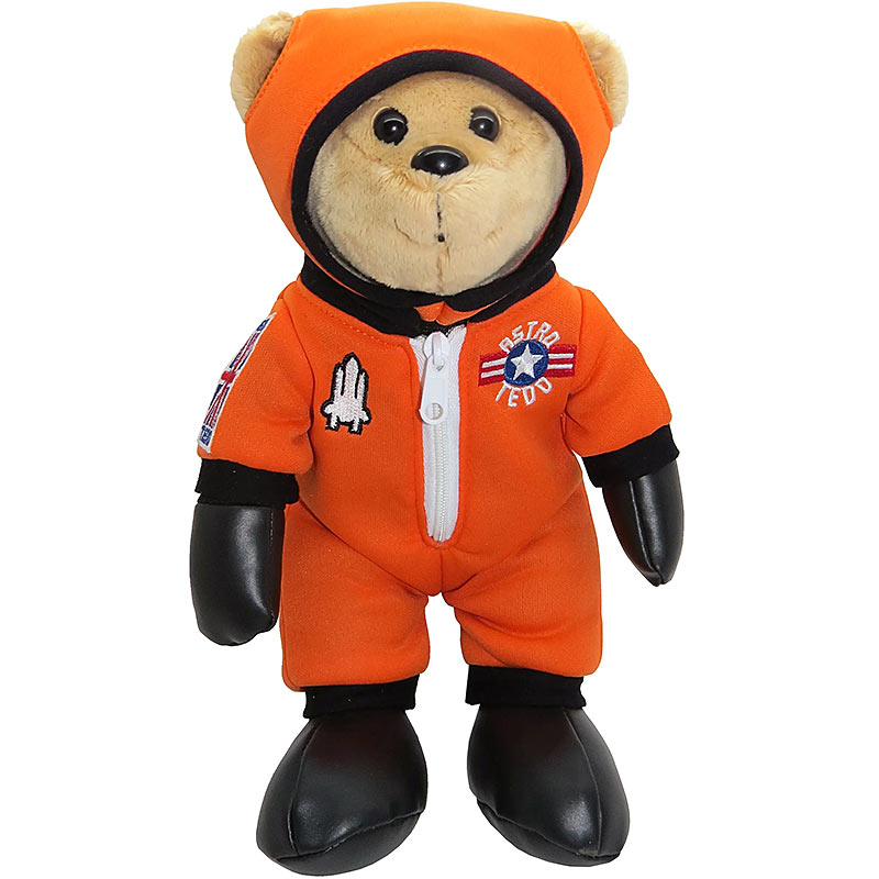 Astro Teddy Bear