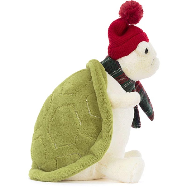 Snowman Timmy Turtle