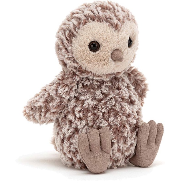 Torvill Owl Chick