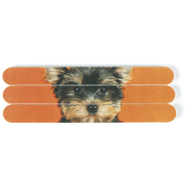 Yorkie on Orange Nail Files