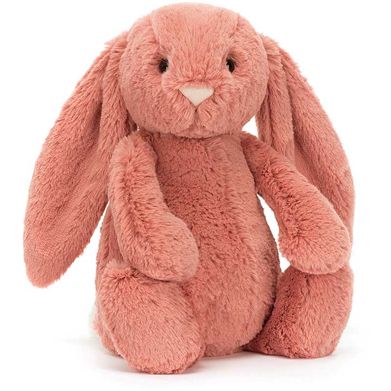 Bashful Sorrel Bunny