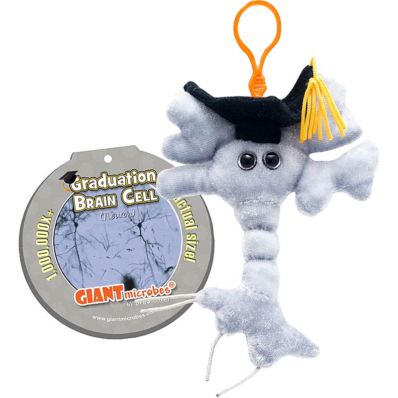 Graduation Brain Cell Keyring