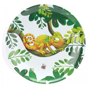 Colin Chameleon Melamine Plate