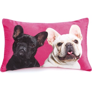 Mr & Mrs Cushion